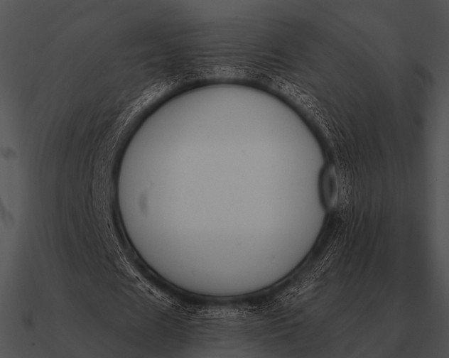 X0000090700625200708031414