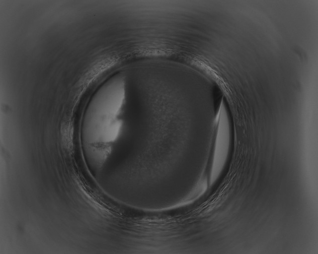 X0000090700627200708031414