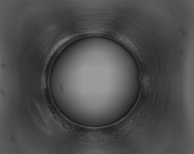 X0000090700628200708031414