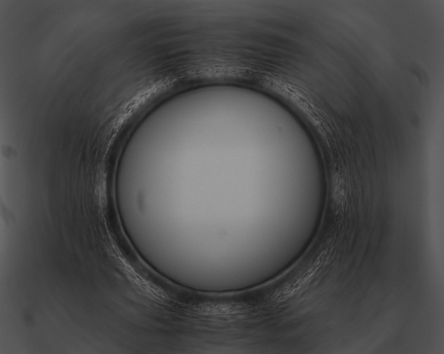 X0000090700629200708031414