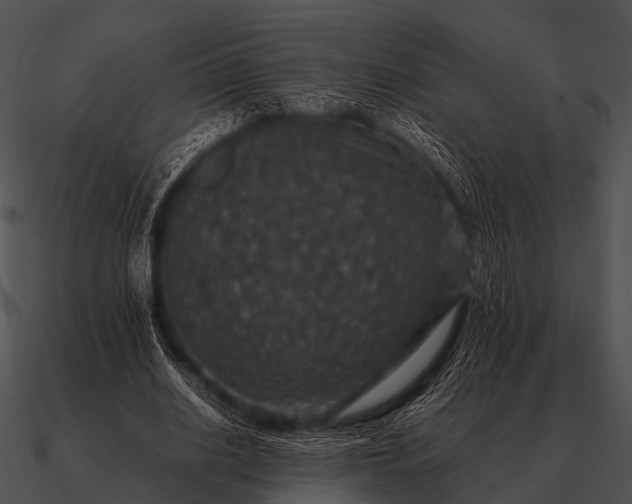 X0000090700630200708031414