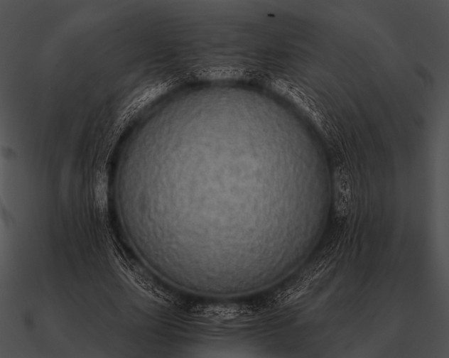 X0000090700631200708031414