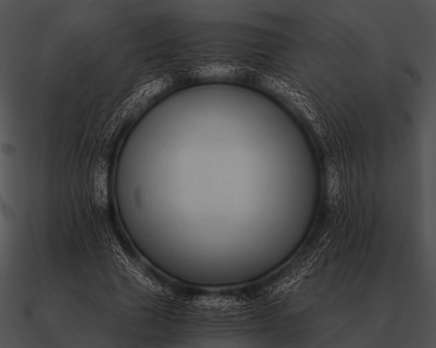 X0000090700633200708031414