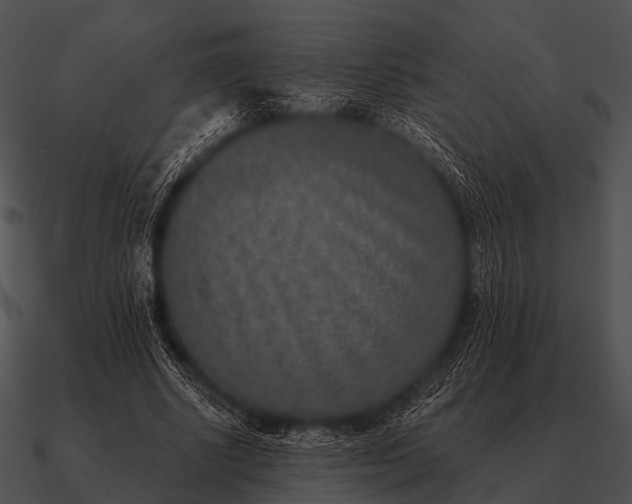 X0000090700634200708031414