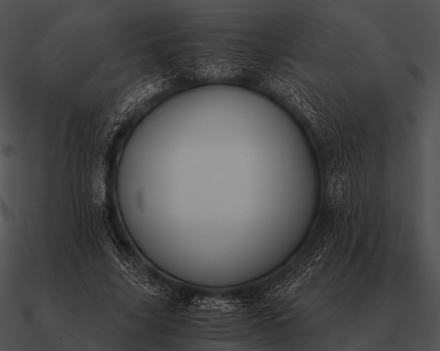 X0000090700635200708031414