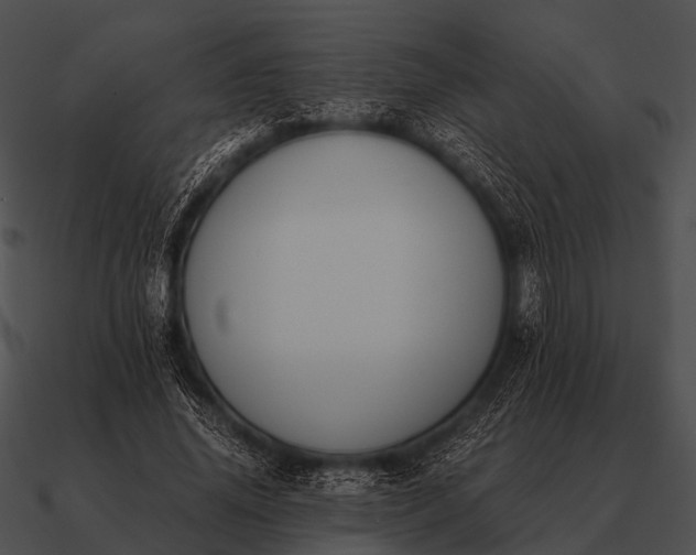 X0000090700636200708031414