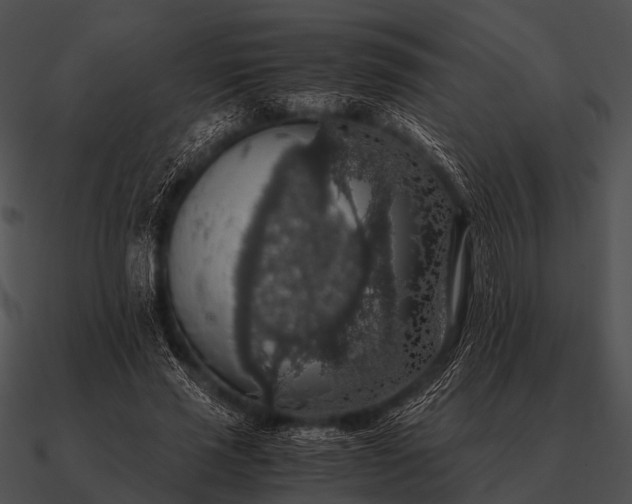 X0000090700637200708031414