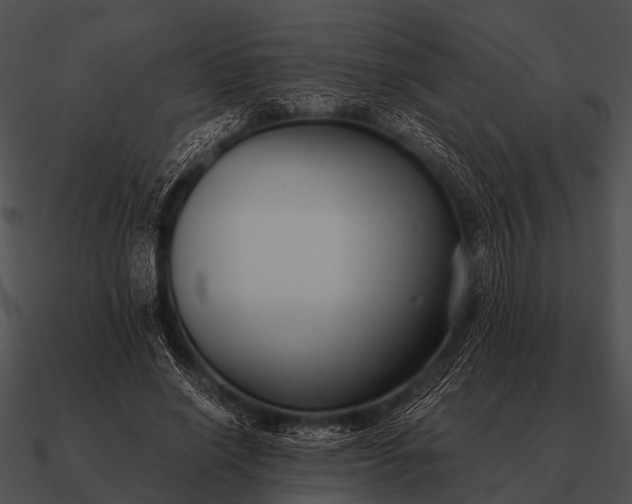 X0000090700638200708031414