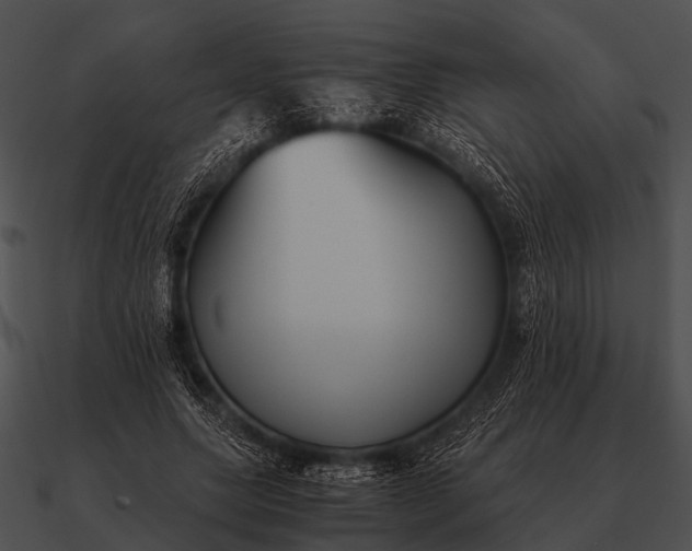 X0000090700639200708031414