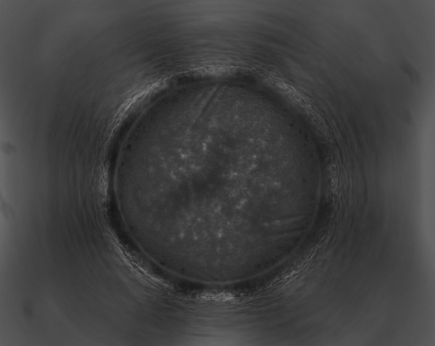 X0000090700640200708031414