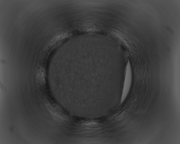 X0000090700643200708031414