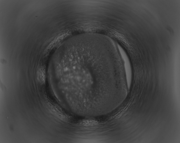 X0000090700644200708031414