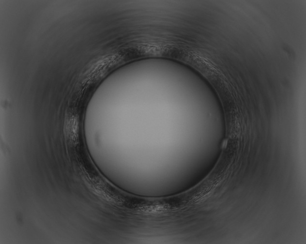 X0000090700646200708031414