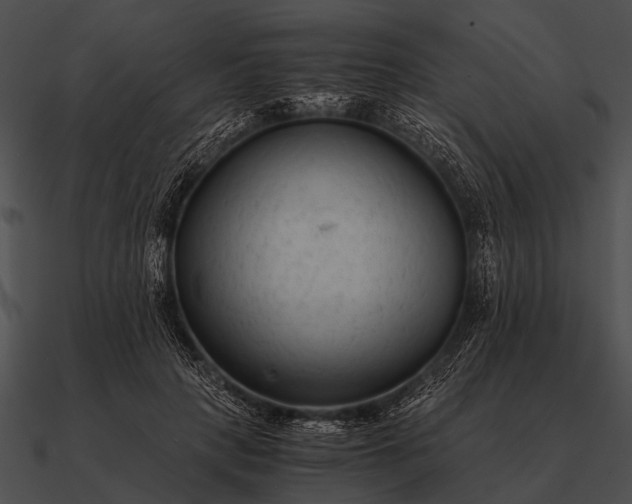 X0000090700649200708031414