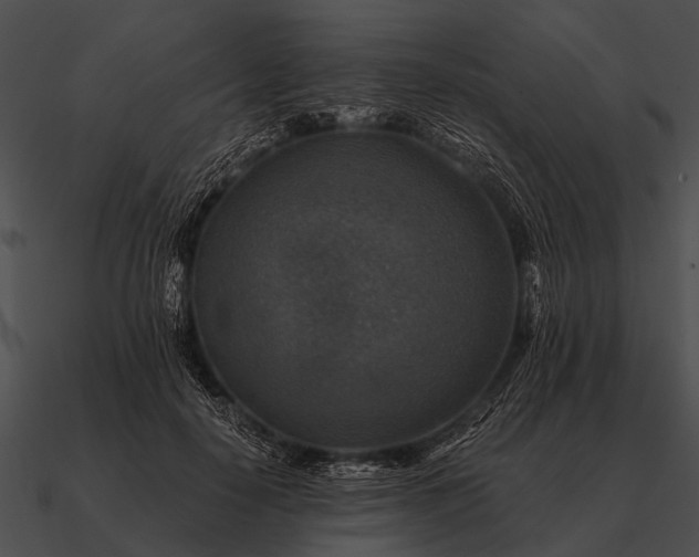 X0000090700650200708031414