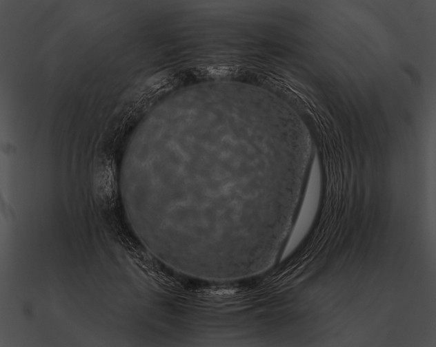 X0000090700651200708031414