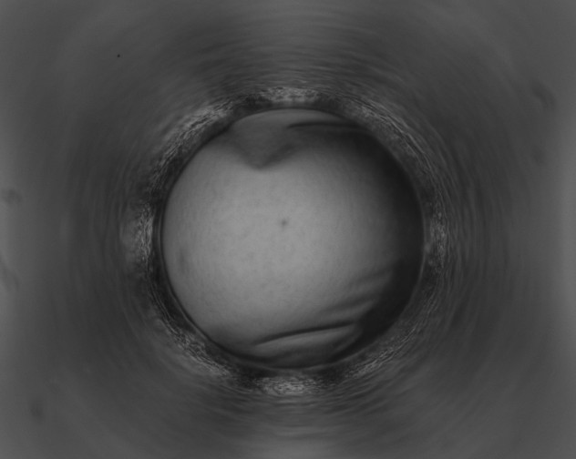 X0000090700652200708031414