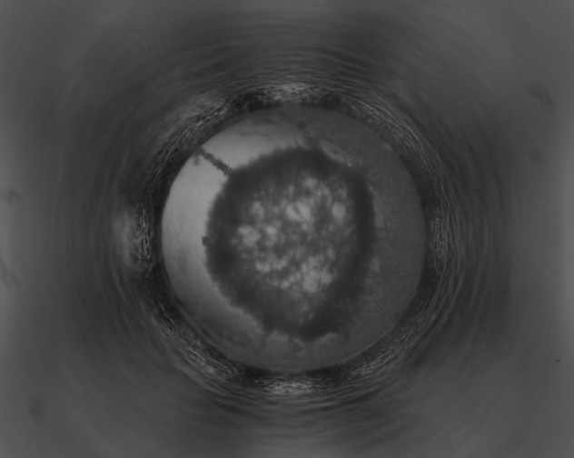 X0000090700653200708031414