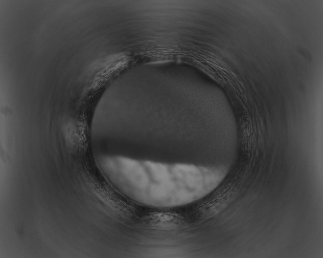 X0000090700654200708031414