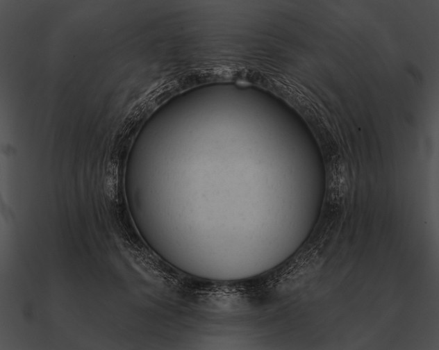 X0000090700656200708031414