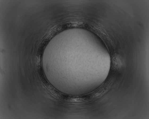 X0000090700657200708031414