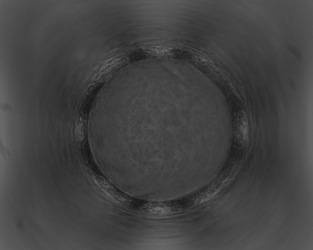 X0000090700658200708031414