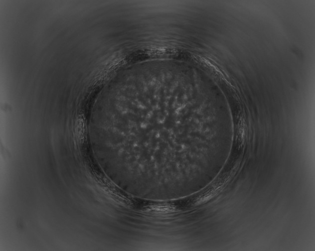 X0000090700659200708031414