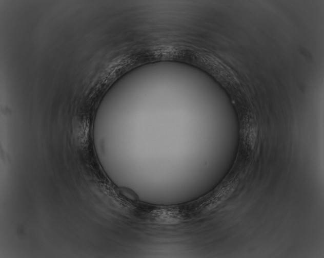 X0000090700660200708031414