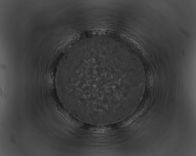 X0000090700661200708031414