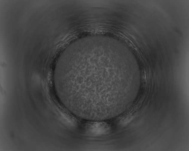 X0000090700663200708031414