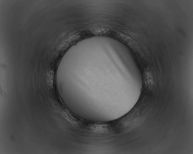 X0000090700664200708031414