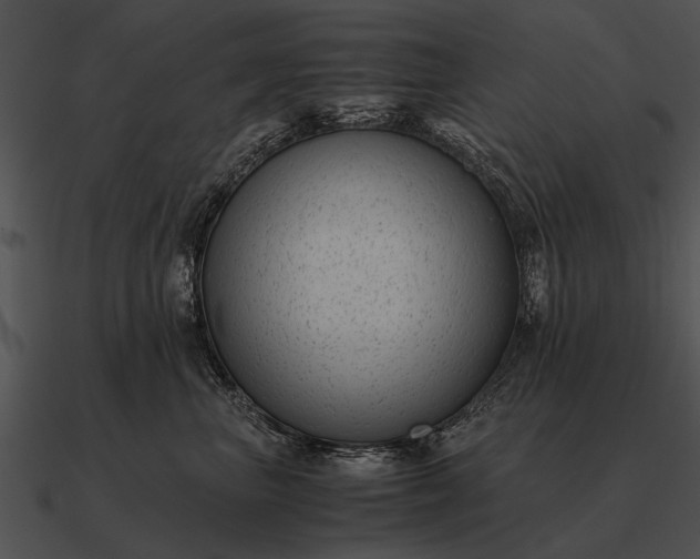 X0000090700667200708031414