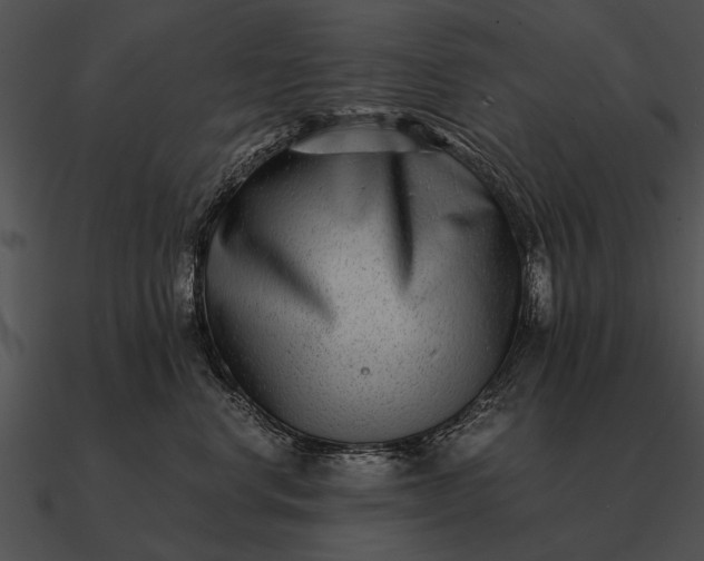 X0000090700668200708031414