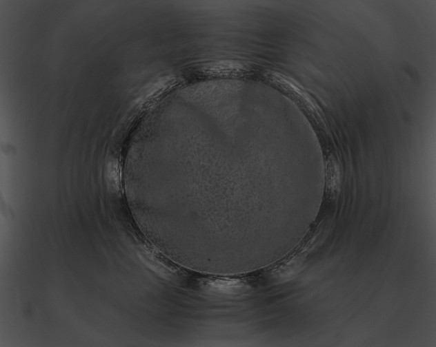 X0000090700669200708031414