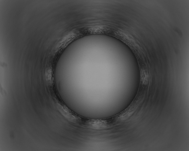 X0000090700670200708031414