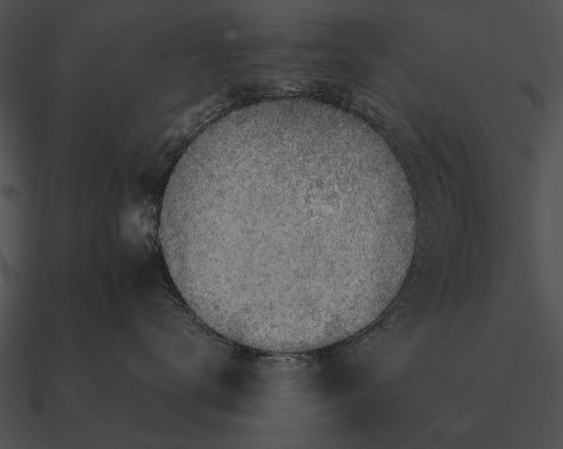 X0000090700672200708031414