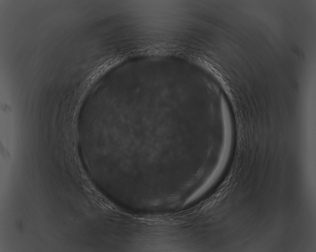 X0000090700673200708031414