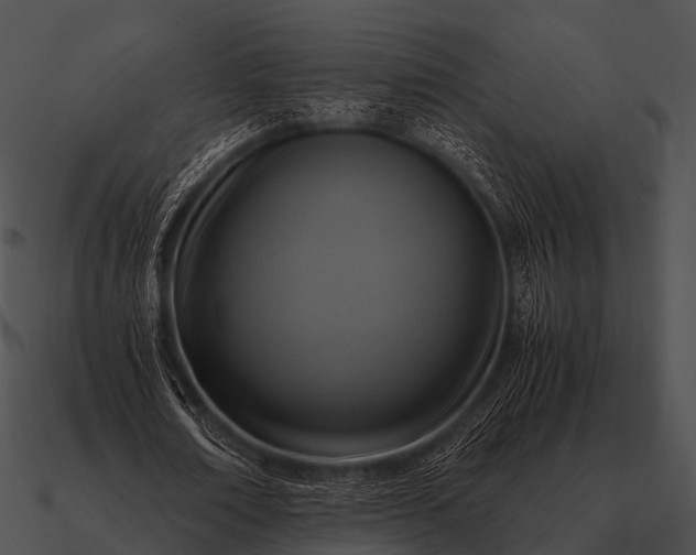 X0000090700674200708031414