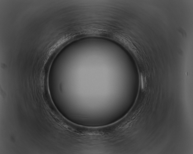 X0000090700675200708031414