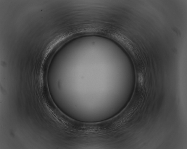 X0000090700676200708031414