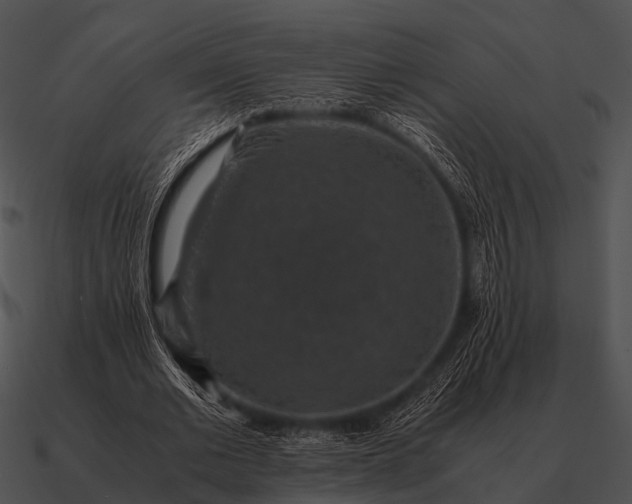 X0000090700677200708031414