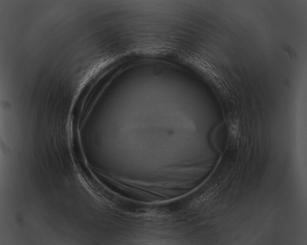 X0000090700678200708031414