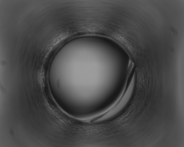 X0000090700680200708031414