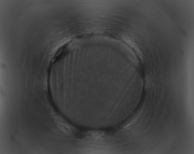 X0000090700681200708031414