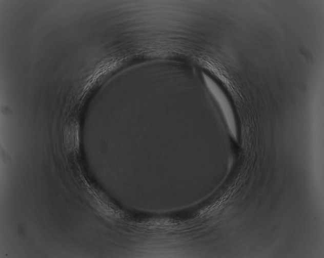 X0000090700685200708031414