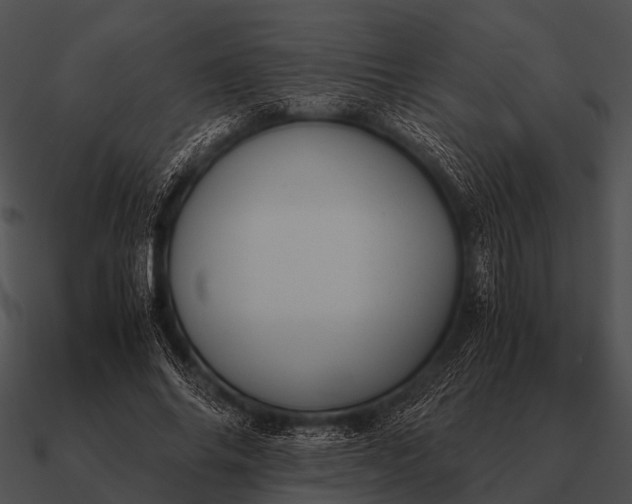 X0000090700686200708031414