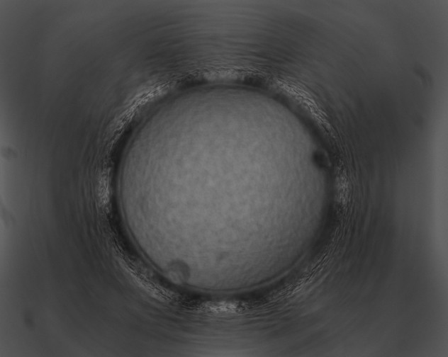 X0000090700687200708031414