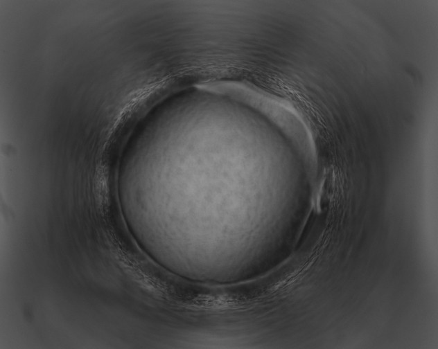 X0000090700688200708031414