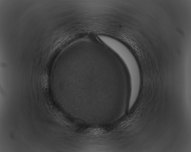 X0000090700689200708031414