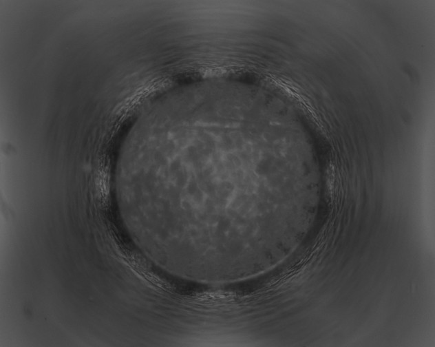 X0000090700691200708031414